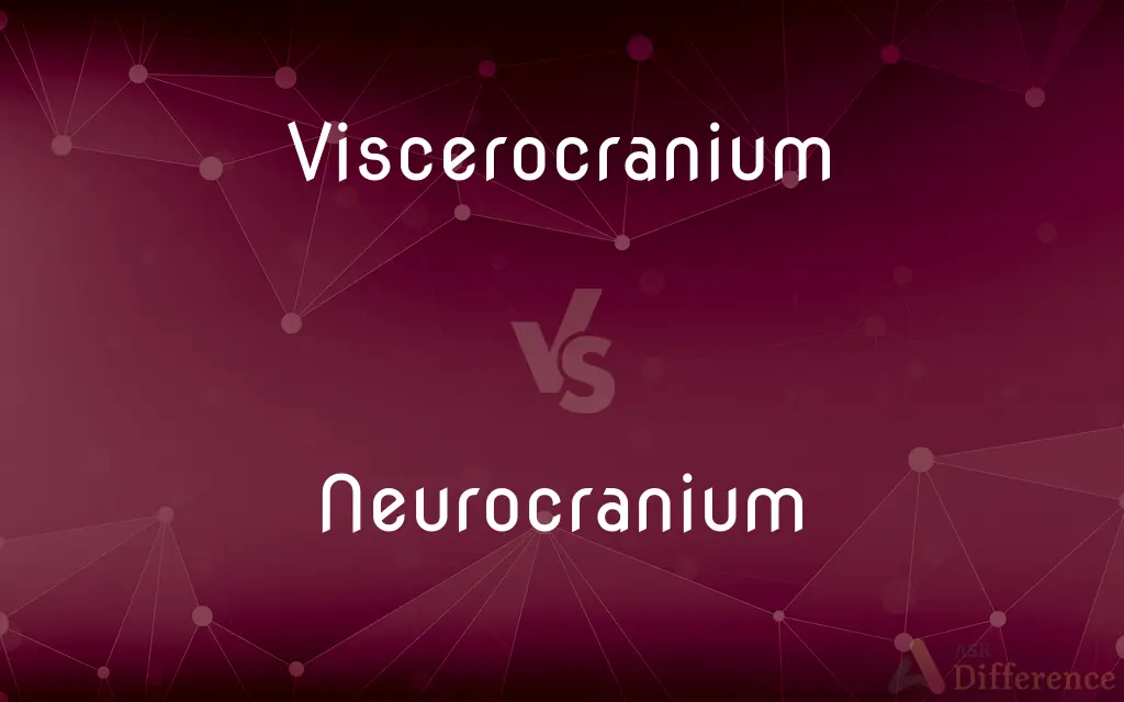 Viscerocranium vs. Neurocranium — What's the Difference?