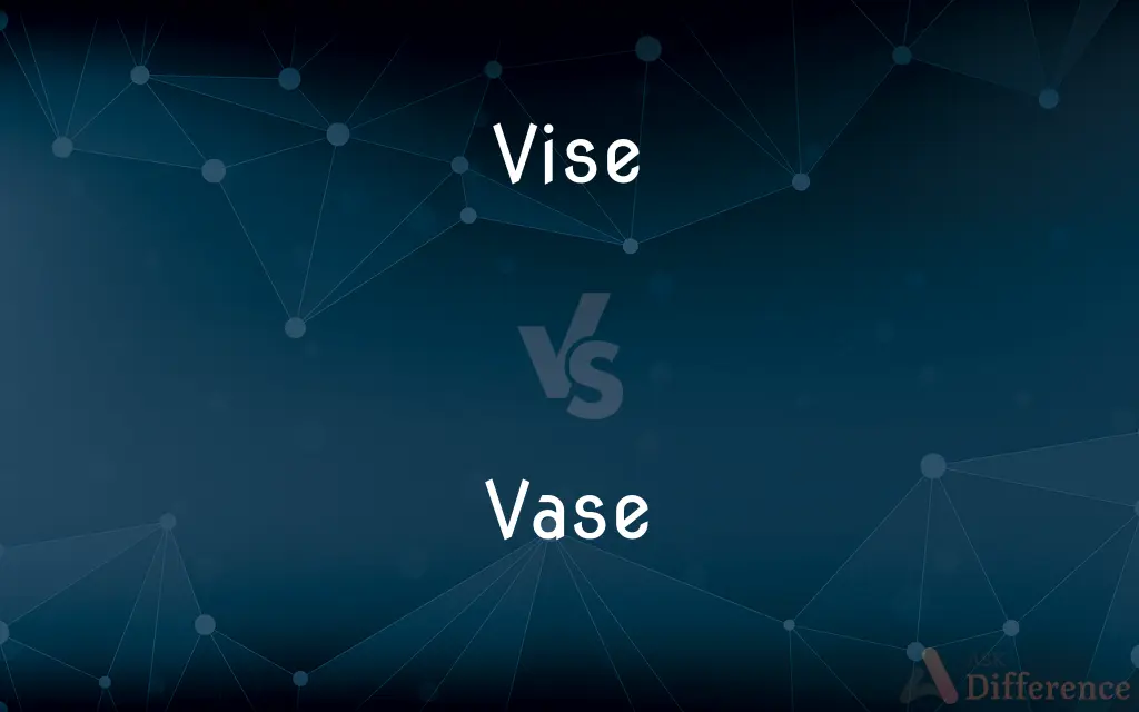 Vise vs. Vase — What's the Difference?