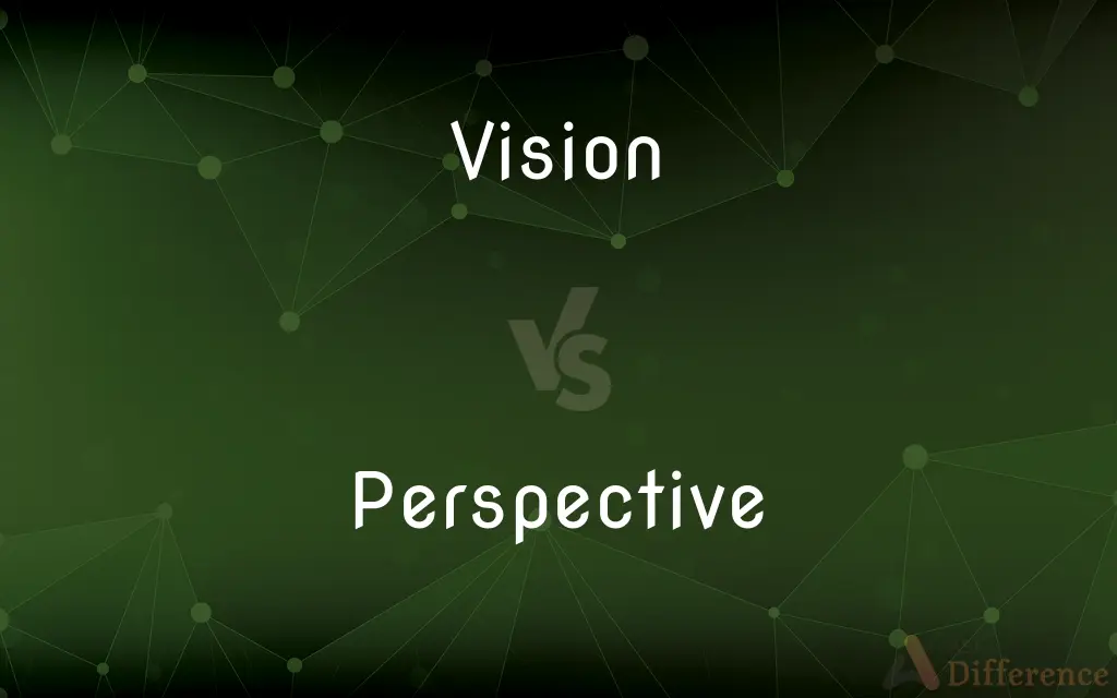 Vision vs. Perspective — What's the Difference?