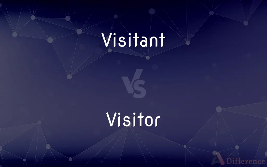 Visitant vs. Visitor — What's the Difference?