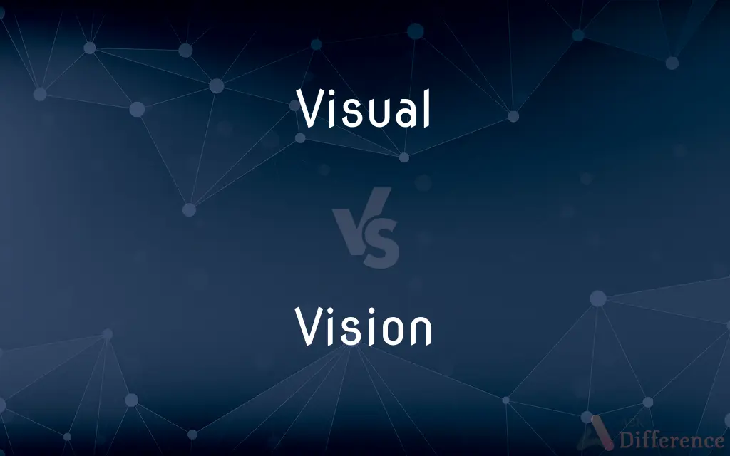 Visual vs. Vision — What's the Difference?