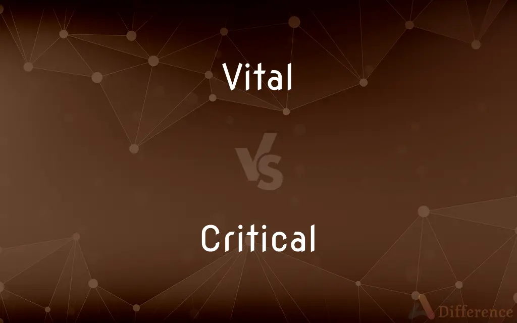 Vital vs. Critical — What's the Difference?