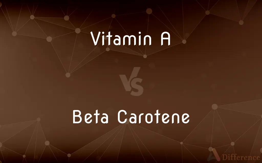 Vitamin A vs. Beta Carotene — What's the Difference?