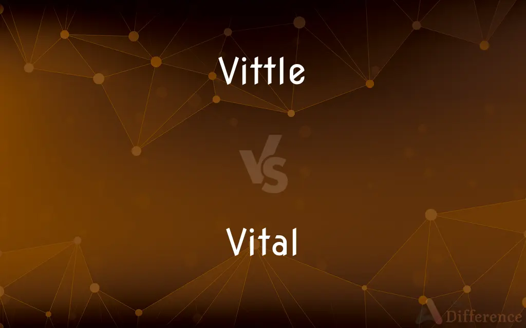 Vittle vs. Vital — What's the Difference?
