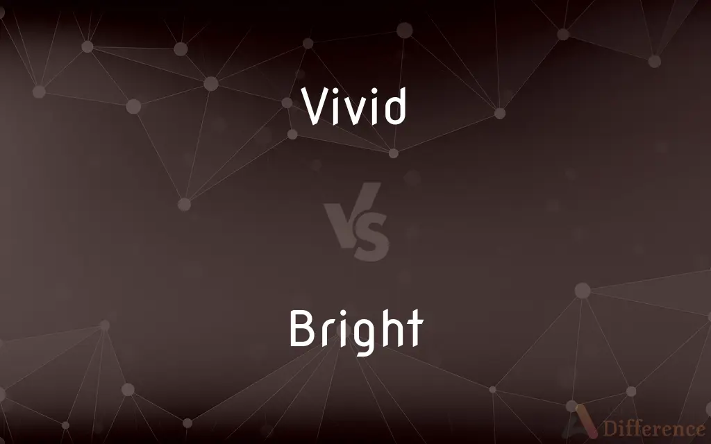 Vivid vs. Bright — What's the Difference?
