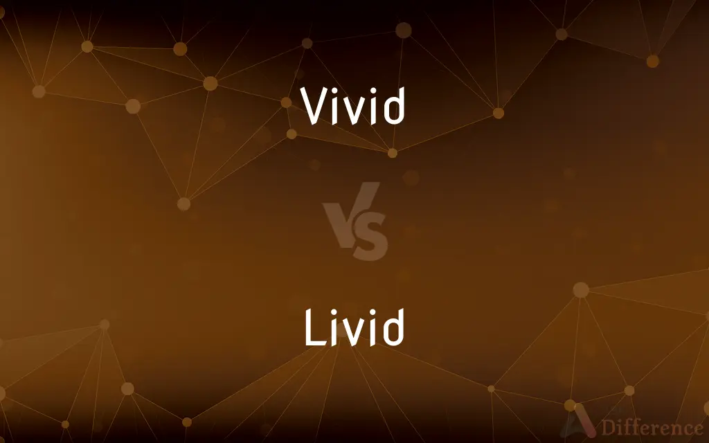 Vivid vs. Livid — What's the Difference?