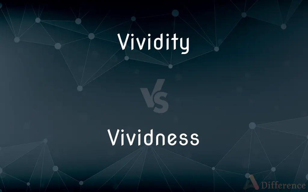 Vividity vs. Vividness — Which is Correct Spelling?