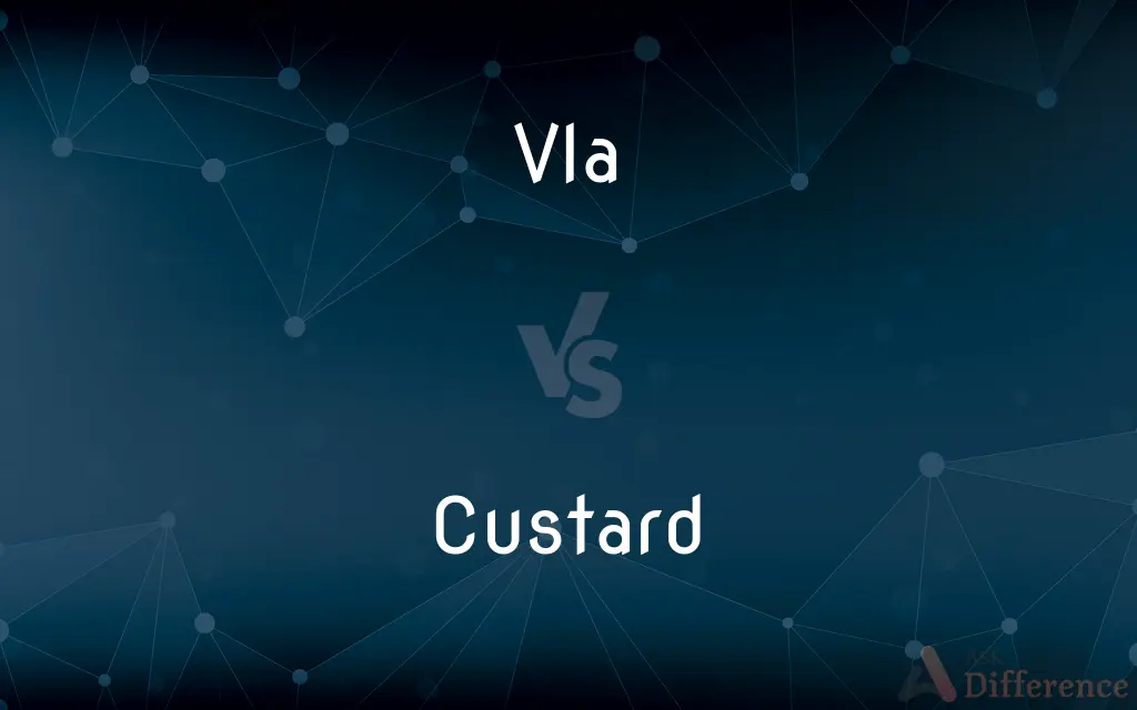 Vla vs. Custard — What's the Difference?