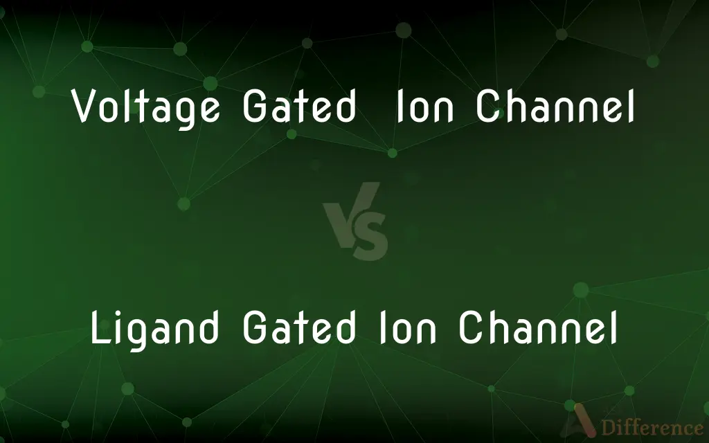 Voltage Gated Ion Channel vs. Ligand Gated Ion Channel — What's the Difference?