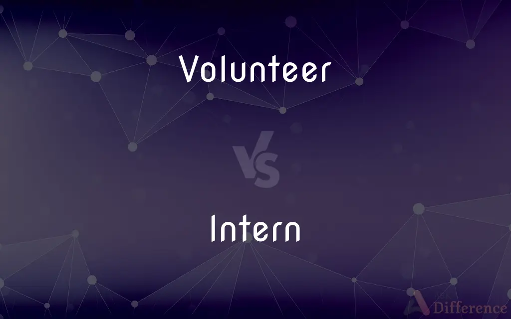Volunteer vs. Intern — What's the Difference?