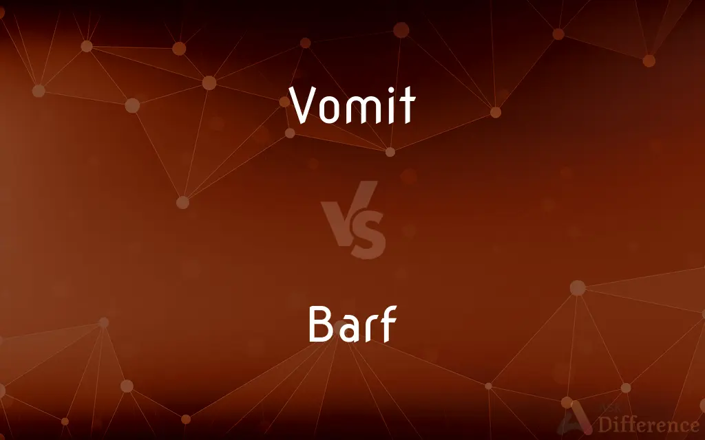 Vomit vs. Barf — What's the Difference?