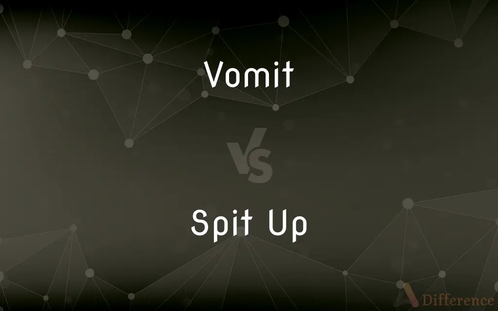 Vomit vs. Spit Up — What's the Difference?