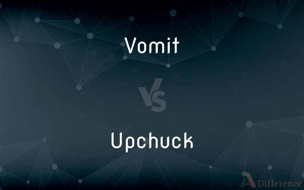 Vomit vs. Upchuck — What's the Difference?