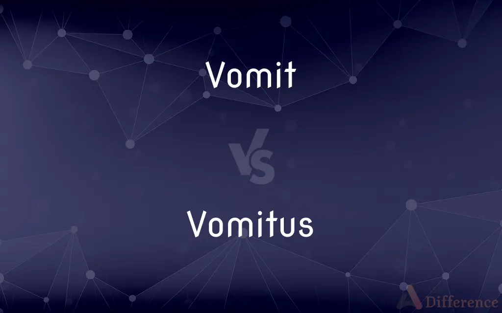 Vomit vs. Vomitus — What's the Difference?