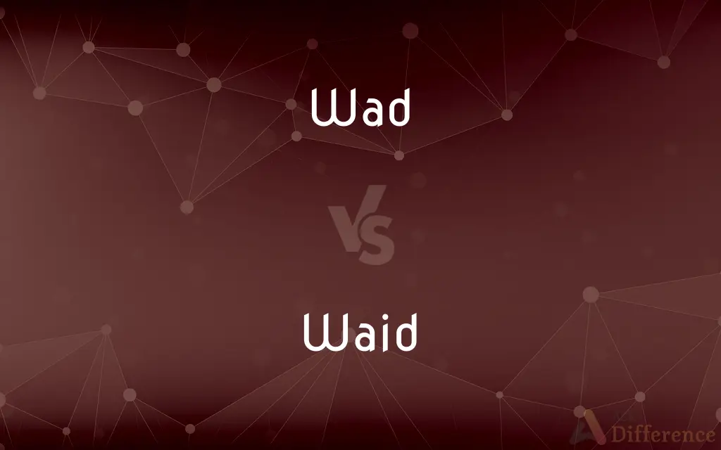Wad vs. Waid — What's the Difference?