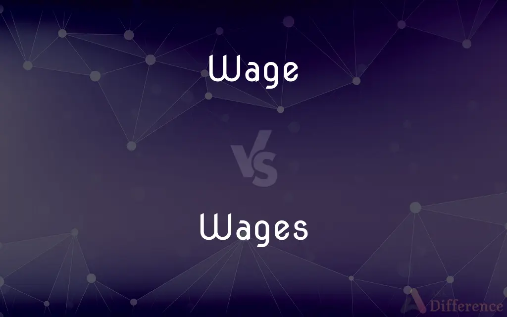 Wage vs. Wages — What's the Difference?
