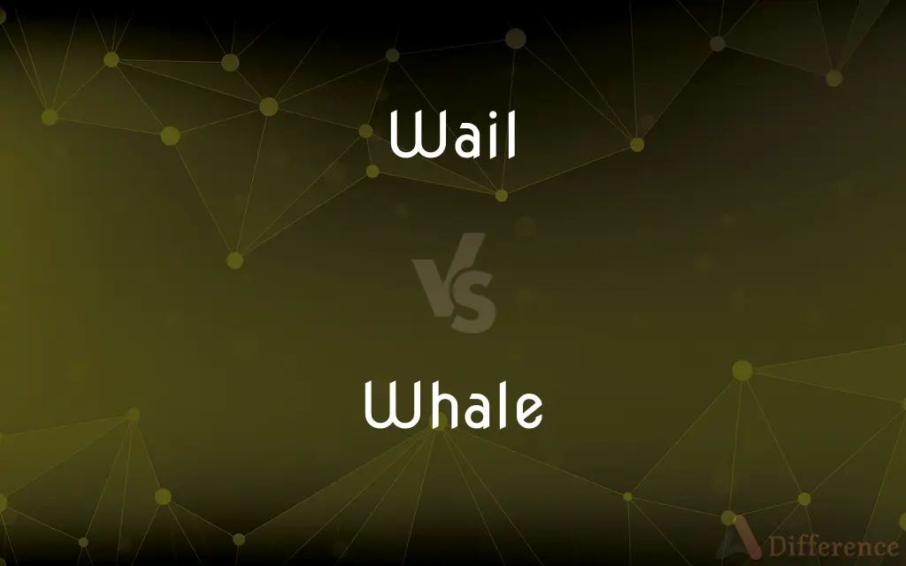 Wail vs. Whale — What's the Difference?