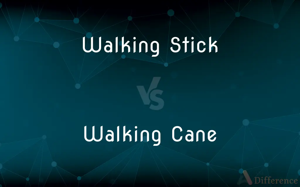 Walking Stick vs. Walking Cane — What's the Difference?