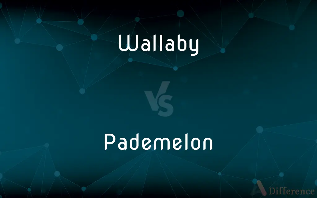 Wallaby vs. Pademelon — What's the Difference?
