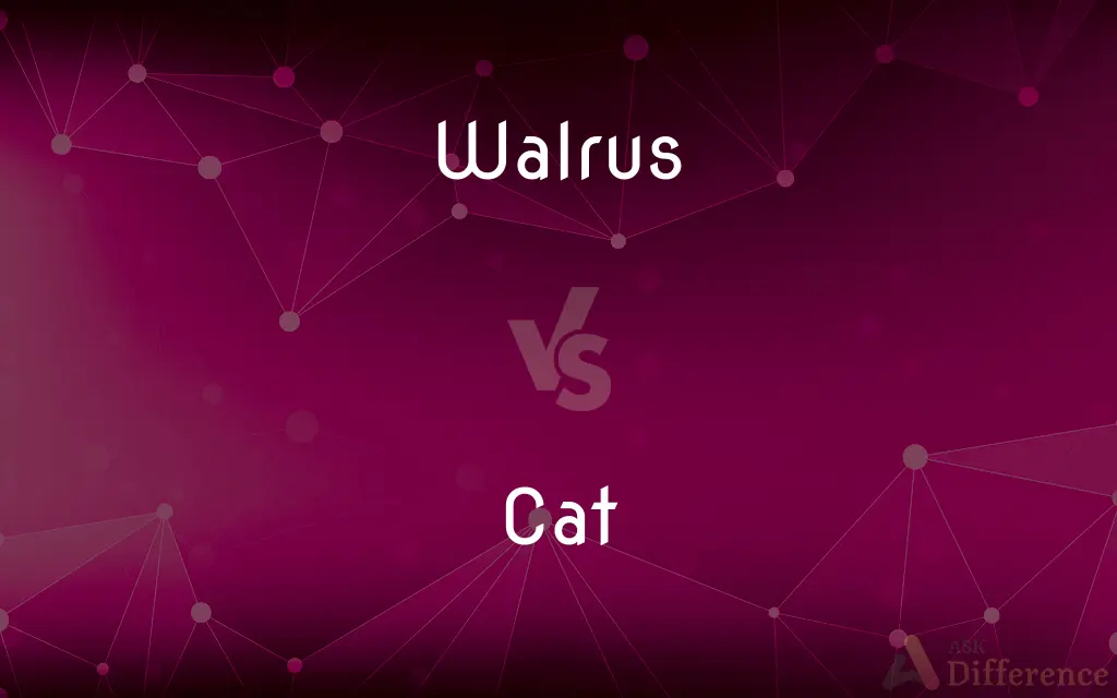 Walrus vs. Cat — What's the Difference?