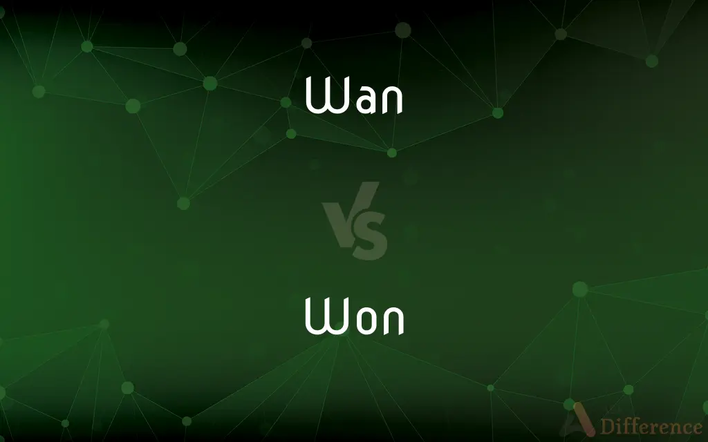 Wan vs. Won — What's the Difference?