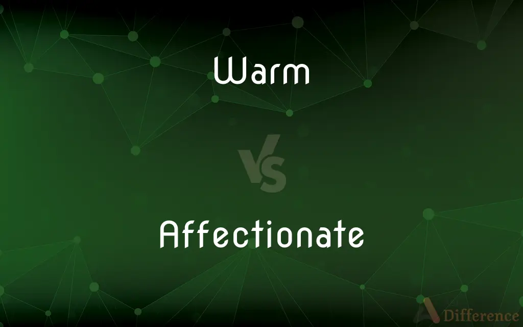 Warm vs. Affectionate — What's the Difference?