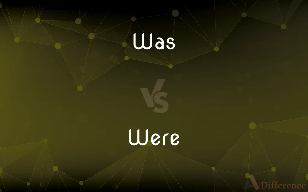Was vs. Were — What's the Difference?