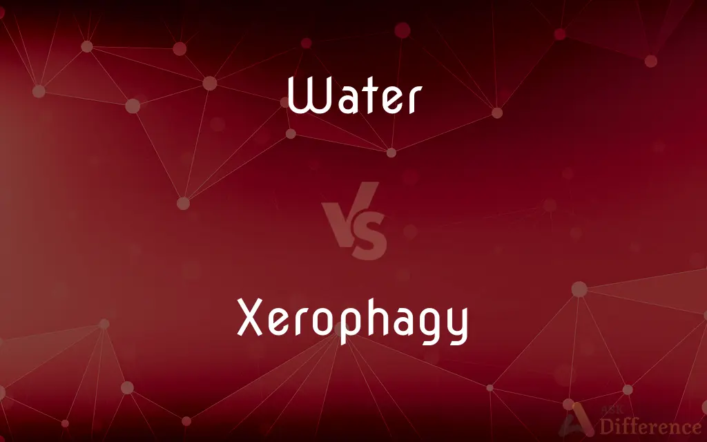 Water vs. Xerophagy — What's the Difference?