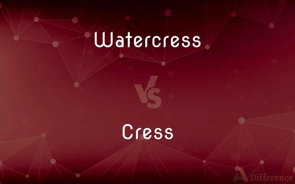 Watercress vs. Cress — What's the Difference?