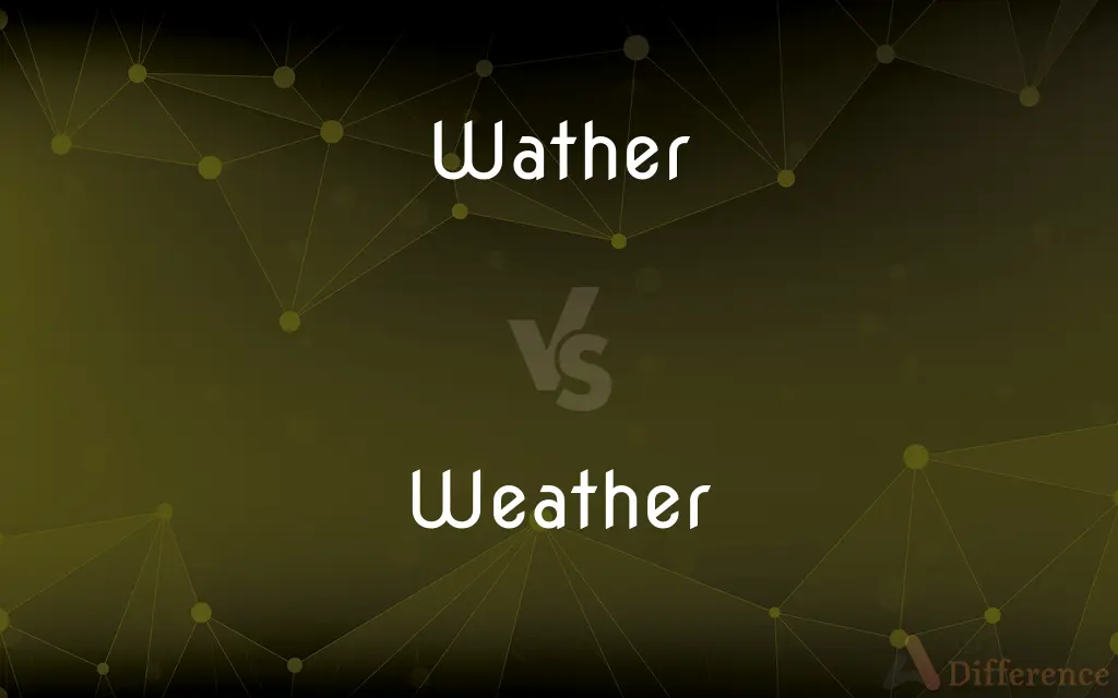 Wather vs. Weather — Which is Correct Spelling?