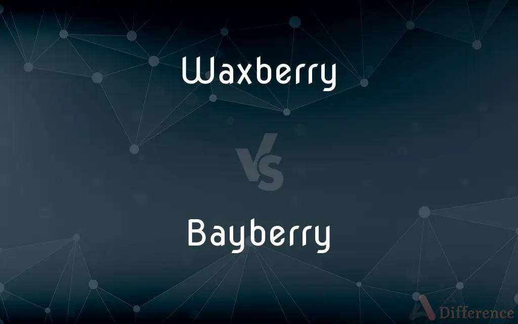 Waxberry vs. Bayberry — What's the Difference?