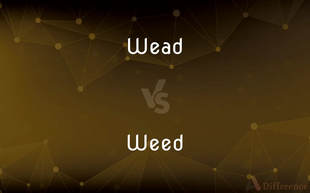 Wead vs. Weed — Which is Correct Spelling?