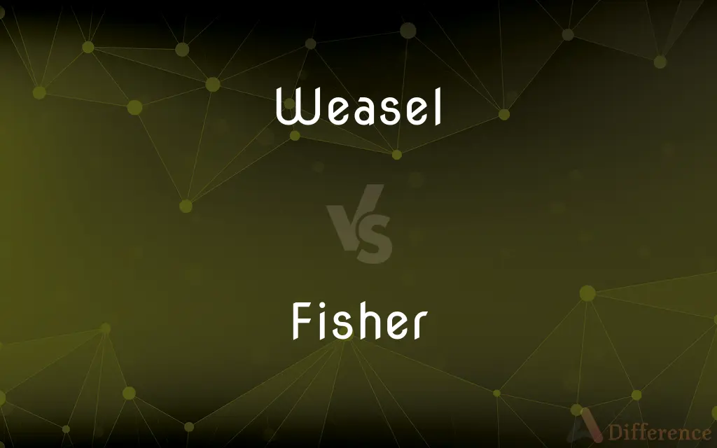 Weasel vs. Fisher — What's the Difference?