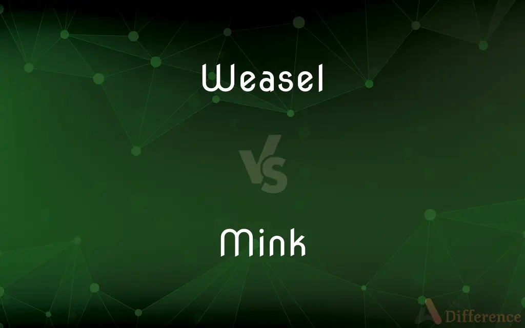 Weasel vs. Mink — What's the Difference?