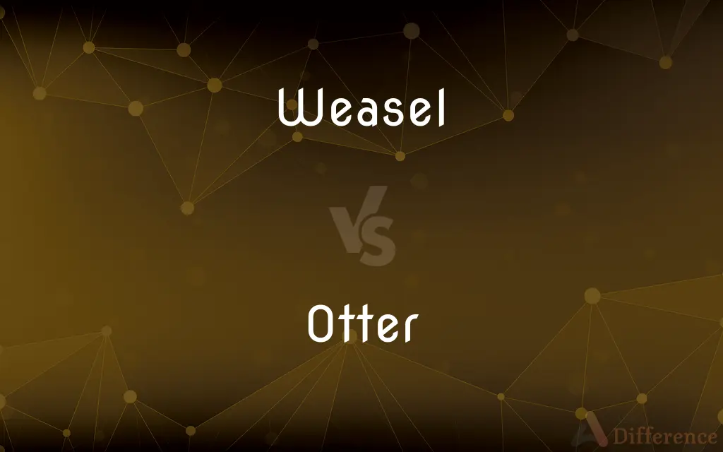 Weasel vs. Otter — What's the Difference?
