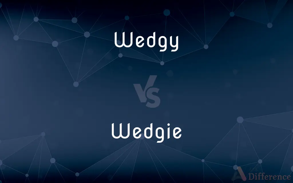Wedgy vs. Wedgie — What's the Difference?