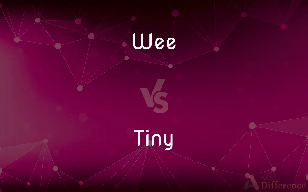 Wee vs. Tiny — What's the Difference?