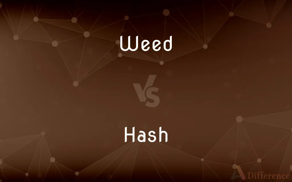 Weed vs. Hash — What's the Difference?