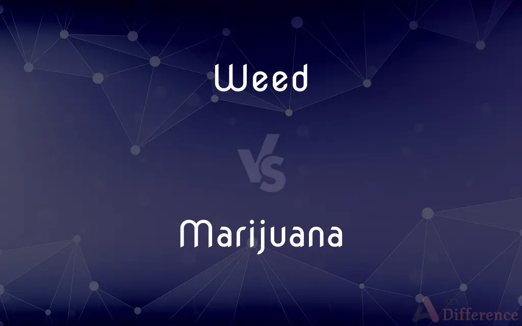 Weed vs. Marijuana — What's the Difference?