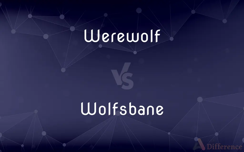 Werewolf vs. Wolfsbane — What's the Difference?