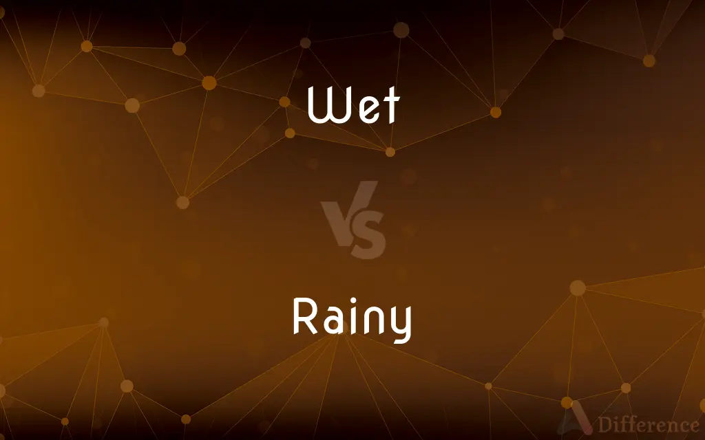 Wet vs. Rainy — What's the Difference?