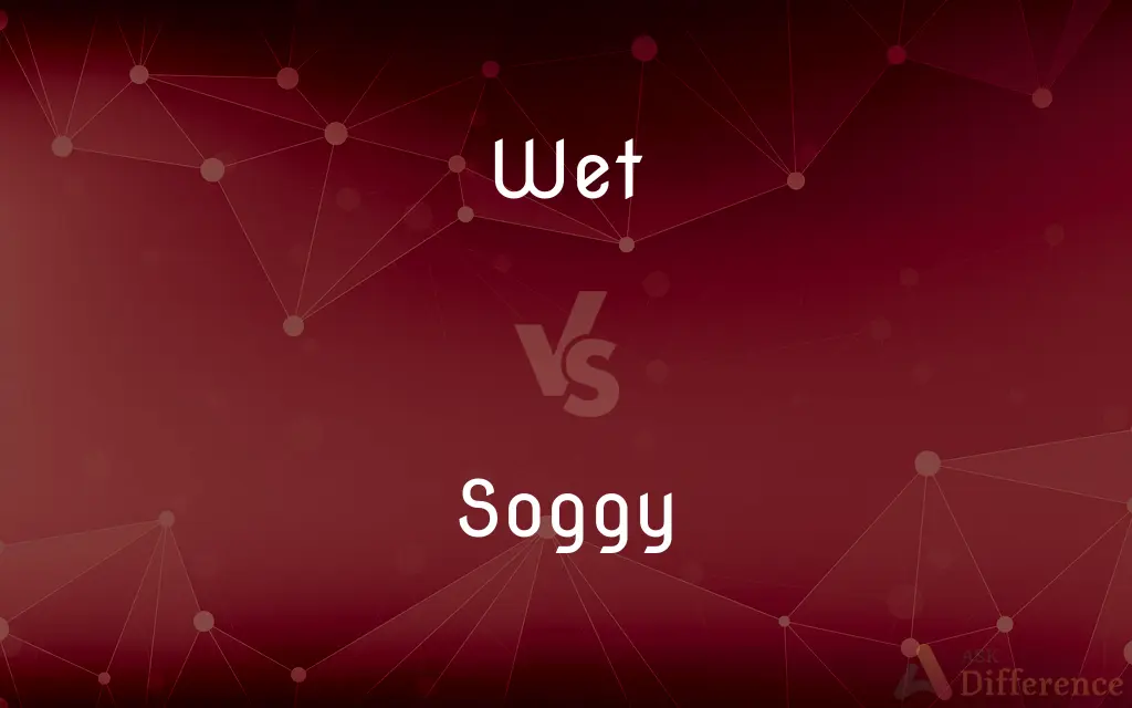 Wet vs. Soggy — What's the Difference?