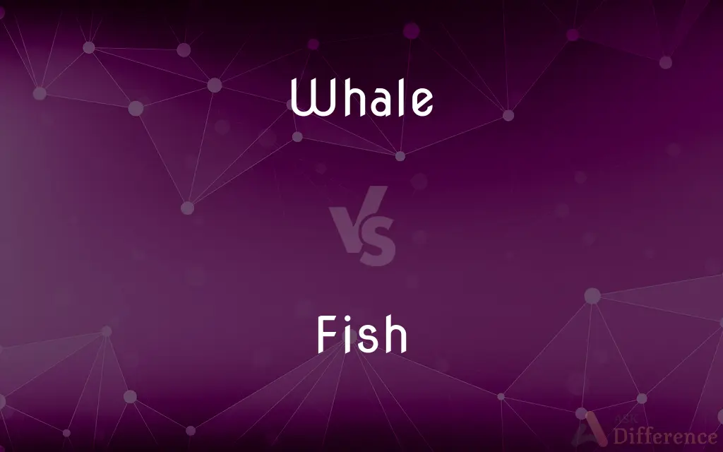 Whale vs. Fish — What's the Difference?