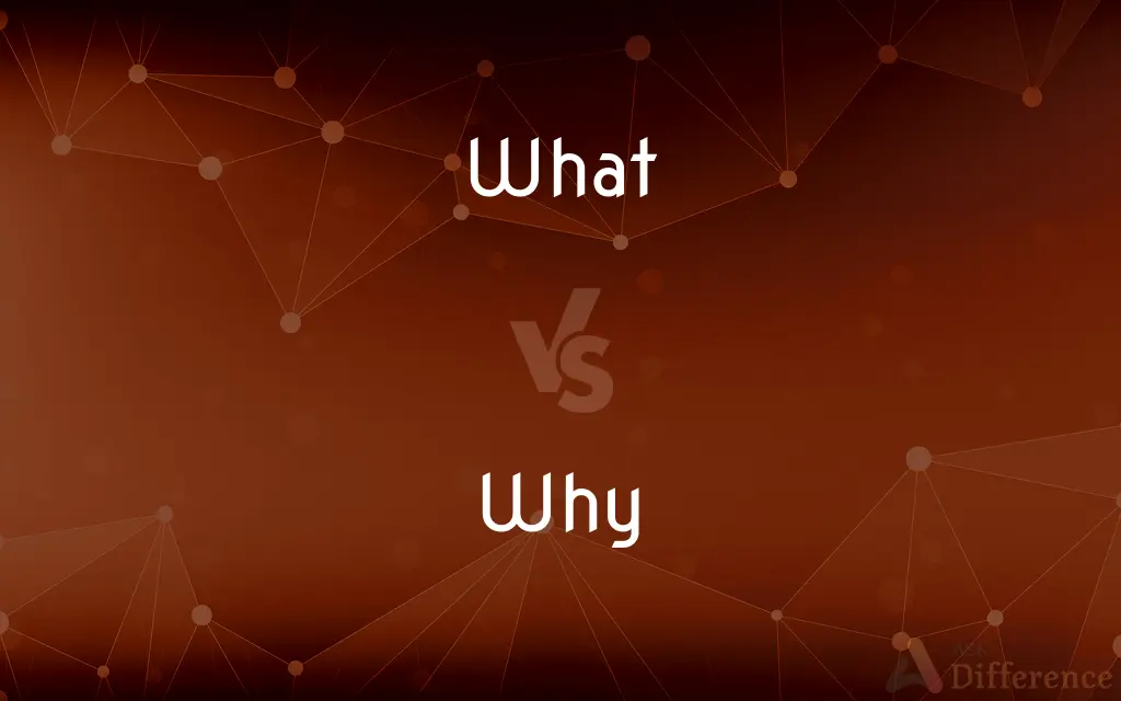 What vs. Why — What's the Difference?
