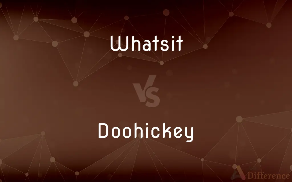 Whatsit vs. Doohickey — What's the Difference?