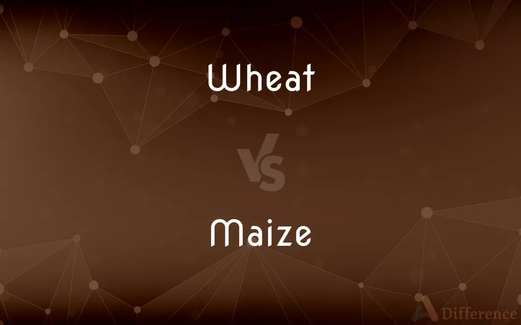 Wheat vs. Maize — What's the Difference?