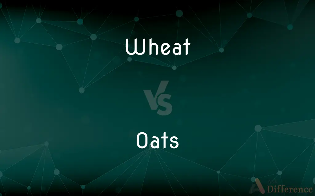 Wheat vs. Oats — What's the Difference?