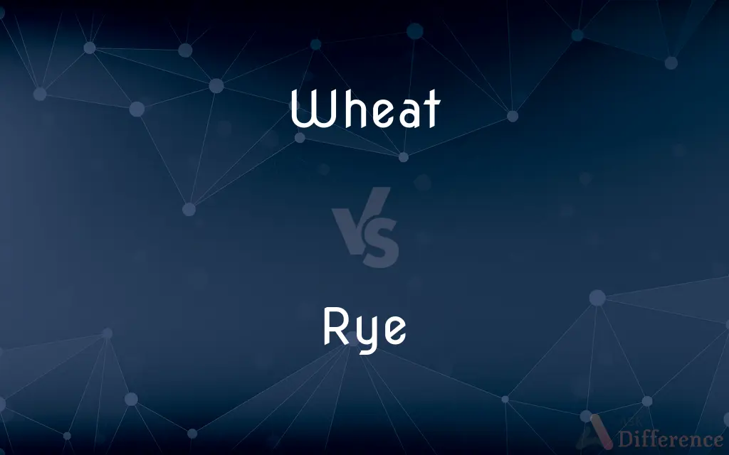 Wheat vs. Rye — What's the Difference?