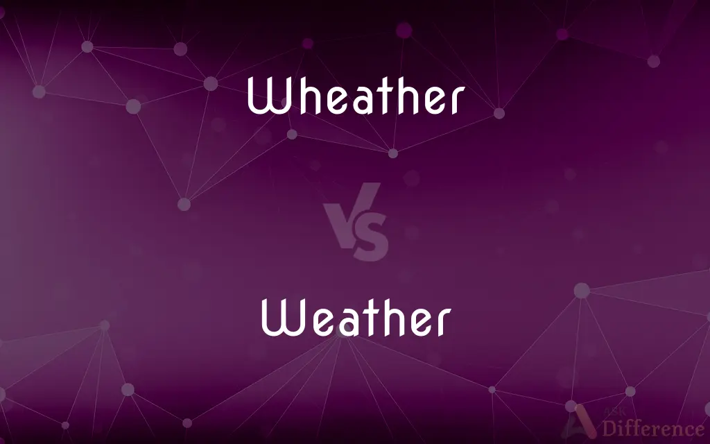 Wheather vs. Weather — Which is Correct Spelling?