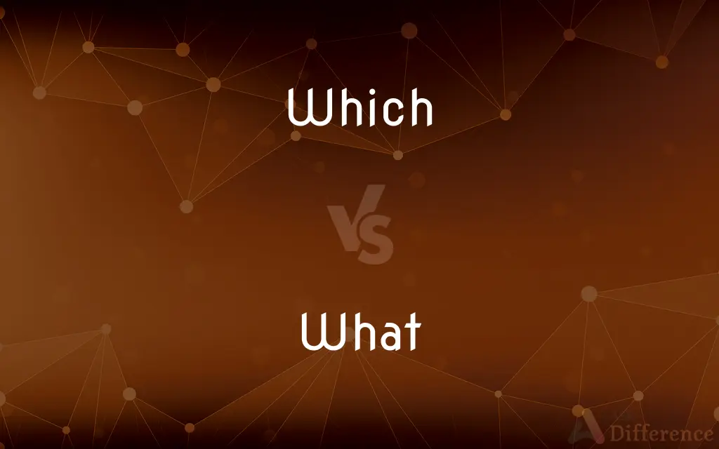 Which vs. What — What's the Difference?